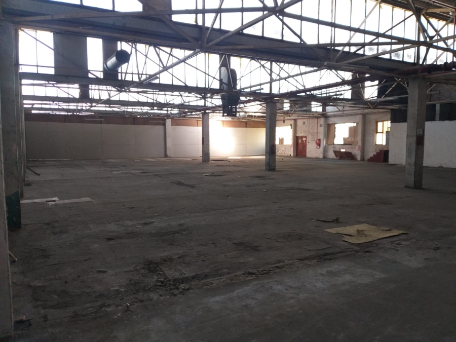 To Let Commercial Property for Rent in Epping Industrial Western Cape